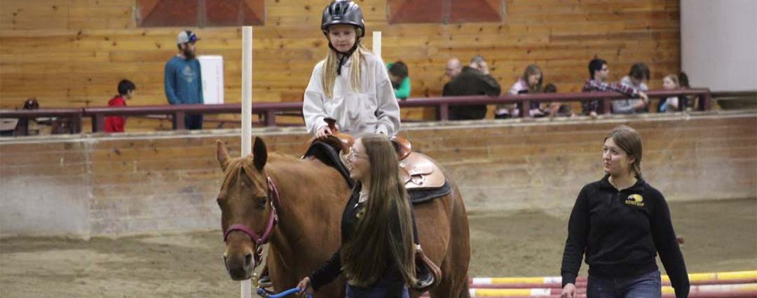 UMC Equine Camps