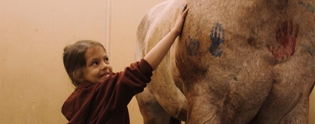 UMC Equine Camps