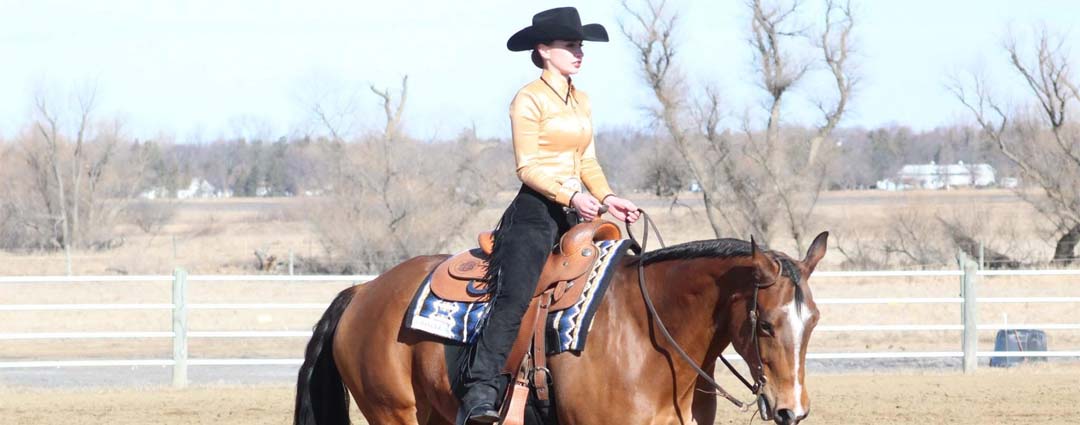 UMC Equine Camps